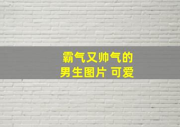 霸气又帅气的男生图片 可爱